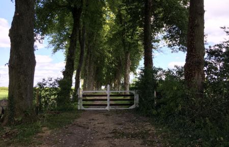 G&icirc;te n&deg;G200510 Terramesnil - Somme - L'ALLEE DES TILLEULS VERS LES CHEVAUX