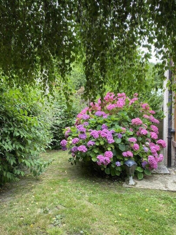 photo 39